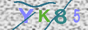 キャプチャ画像