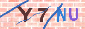 キャプチャ画像