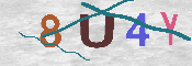 キャプチャ画像